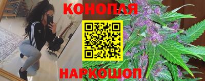 Альфа ПВП Ипатово