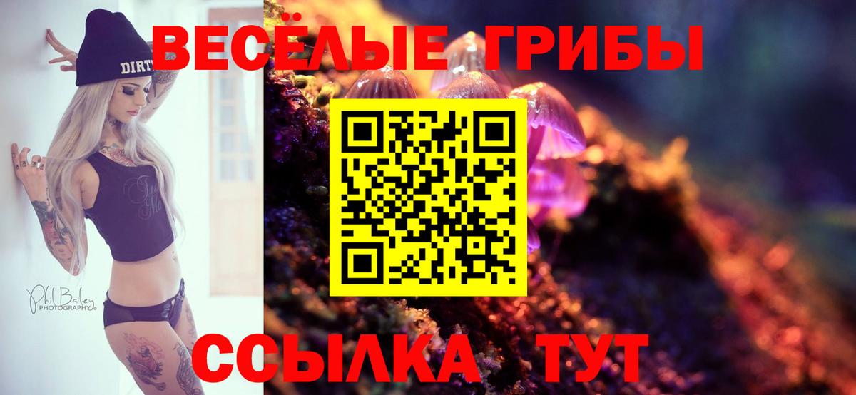 Псилоцибиновые грибы ЛСД  Вход с VPN  Нефтеюганск  дарнет шоп  Псилоцибиновые грибы мицелий 
